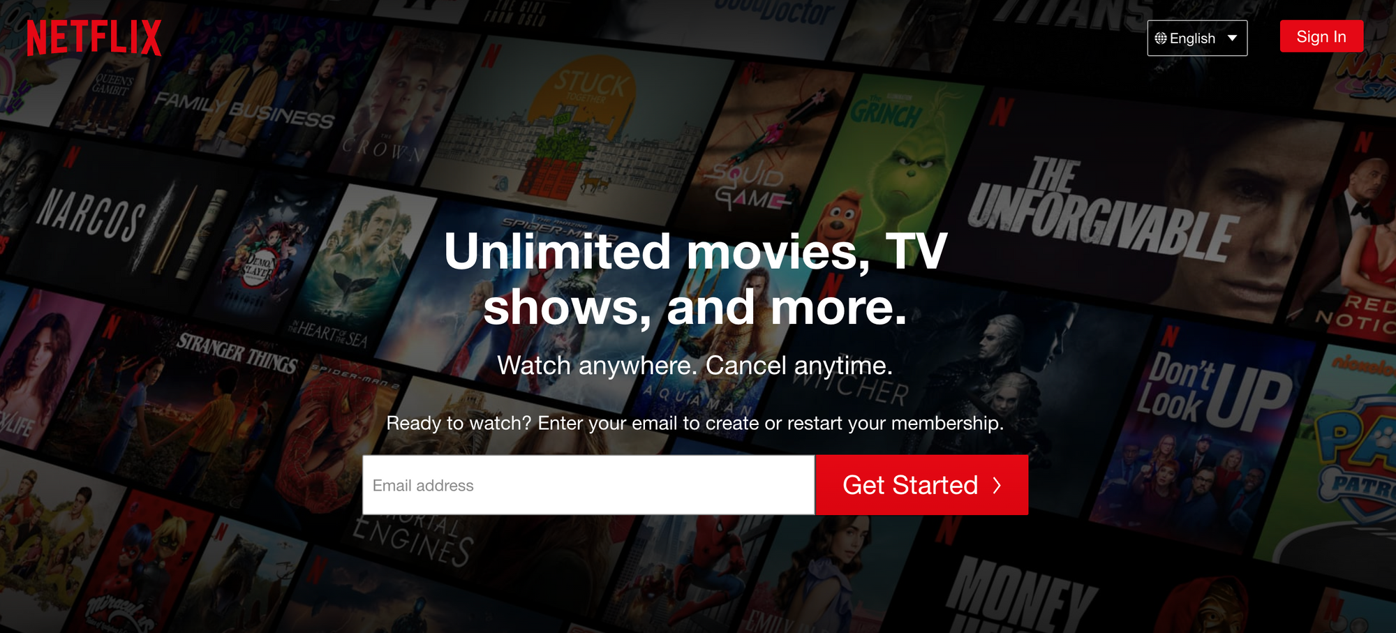 Netflix Paywall